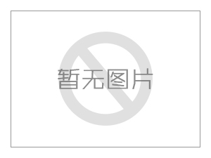 房地產置業顧問